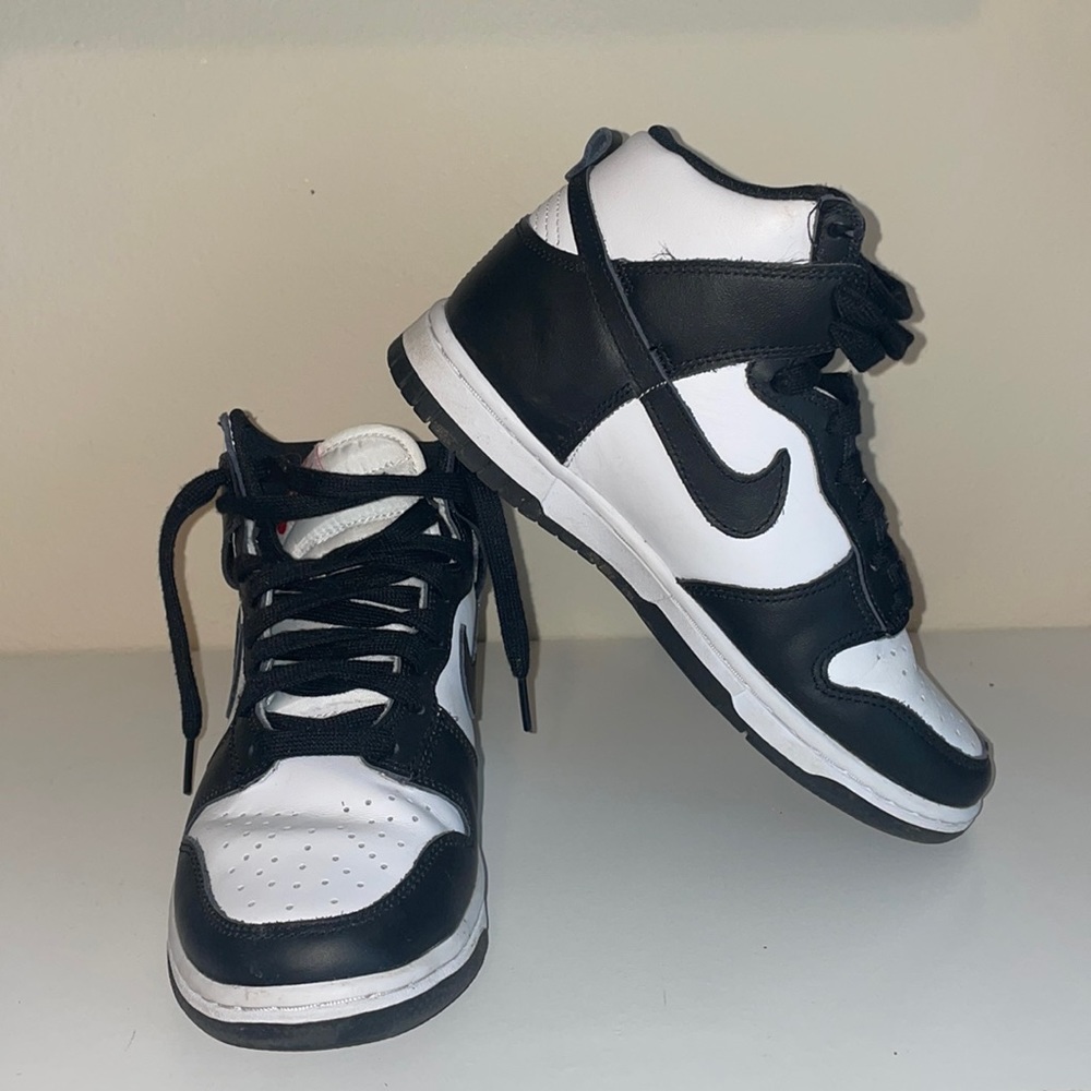 EUC Nike Dunk High